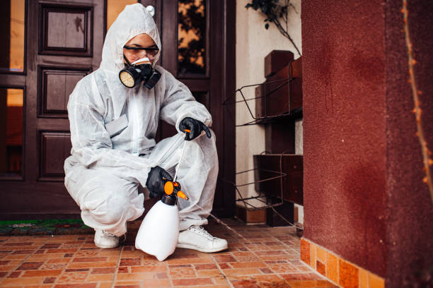 Reliable Cockroach Control contractor in Booneville, MS by Nex Pest Control